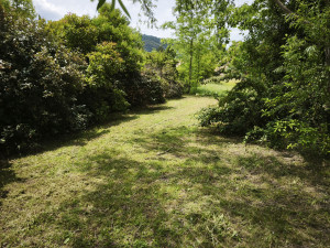 Photo de galerie - ENTRETIEN DE JARDIN 
