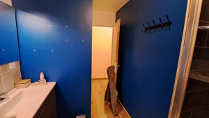 Photo de galerie - Peinture - Tapisserie