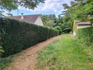 Photo de galerie - Taillage de haie