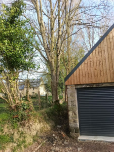 Photo de galerie - Elagage et coupe d'arbres