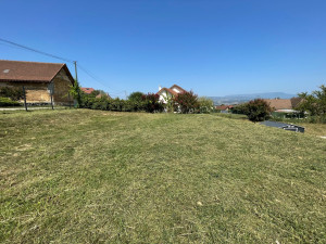 Photo de galerie - Tonte de pelouse - Débroussaillage