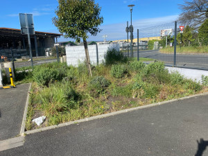 Photo de galerie - Paysagiste - Aménagement du jardin