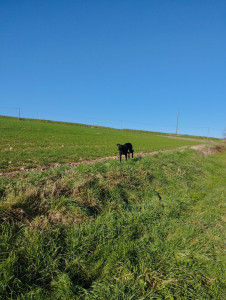 Photo de galerie - Promenade 