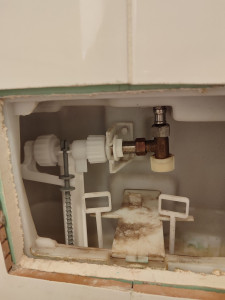 Photo de galerie - Remplacement d'un flotteur sur wc suspendu