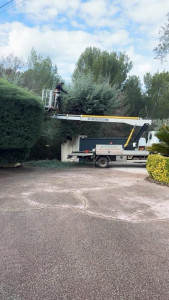 Photo de galerie - Taille d'une haie 