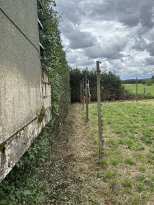 Photo de galerie - Taille de haies