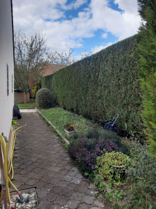 Photo de galerie - Jardinier paysagis Et la guerre 