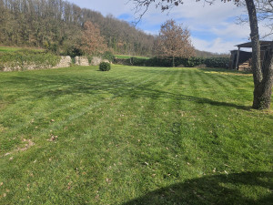 Photo de galerie - Debroussaillage + tonte pelouse 