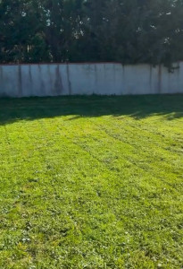 Photo de galerie - Tonte et débroussaillage d’un jardin