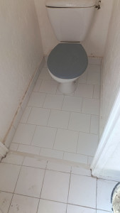 Photo de galerie - Wc niquel 