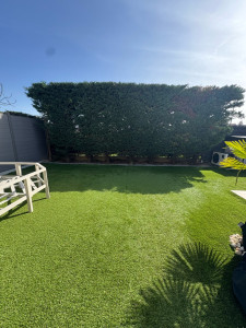 Photo de galerie - Taille de haie sur 3 faces