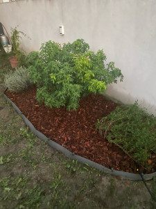 Photo de galerie - Création d’un massif 