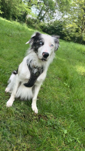 Photo de galerie - FLOCKY