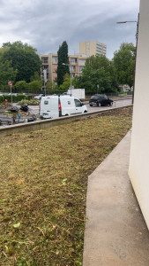 Photo de galerie - Tonte