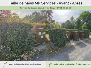 Photo de galerie - Taille de haies et d'arbustes