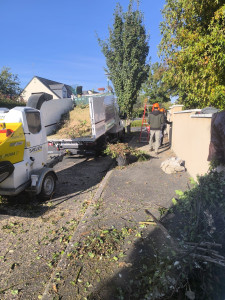 Photo de galerie - Elagage et coupe d'arbres