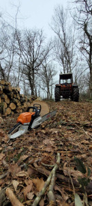 Photo de galerie - Bois de chauffage oui entretien de terrain priver 