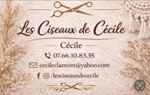 Photo de galerie - Coiffeuse à domicile guegon et ses alentours 