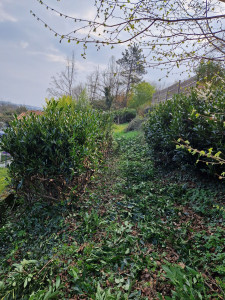 Photo de galerie - Avant