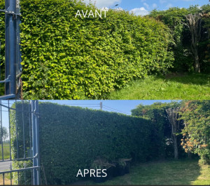 Photo de galerie - Taille de haies et d'arbustes