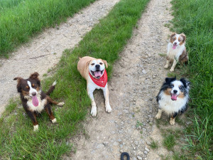 Photo de galerie - Balade 