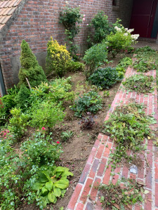 Photo de galerie - Paysagiste - Aménagement du jardin