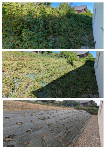 Photo de galerie - Tonte de pelouse - Débroussaillage