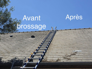 Photo de galerie - Couverture - Toiture