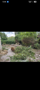 Photo de galerie - Aménagement d'un jardin 