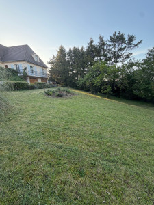 Photo de galerie - Tonte 