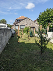 Photo de galerie - Plantation arbre fruitier 