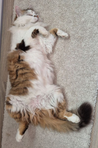 Photo de galerie - A domicile 