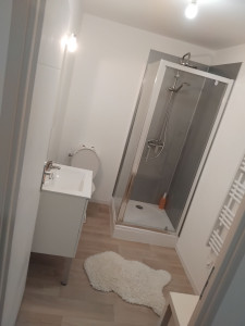 Photo de galerie - Entretien salle de bain, Chrome ,évier, WC , douche