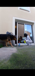 Photo de galerie - Ménage