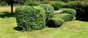 Photo de galerie - ..........