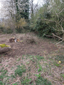 Photo de galerie - Nettoyage terrain