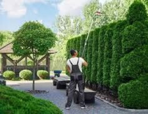 Photo de galerie - Je fais tous aussi autant d'un paysagiste tailler les haies faire les massifs planter tailler les pelouses.....