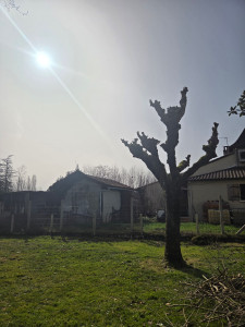 Photo de galerie - Apres