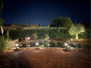 Photo de galerie - Création d’un bassin avec cascade. 