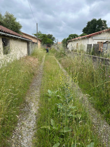 Photo de galerie - Tonte de pelouse - Débroussaillage