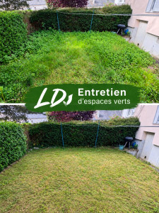 Photo de galerie - Remis en état d’un jardin 