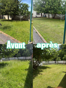 Photo de galerie - Tontes + débroussaillage 