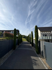 Photo de galerie - Entretien
