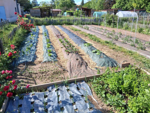 Photo de galerie - Jardinier
