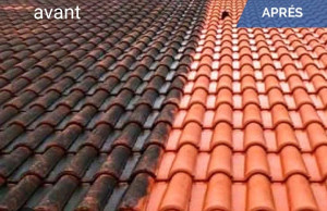 Photo de galerie - Nettoyage de toiture par pulvérisation produit dAlep 2100 anti-mousse et hydrofuge             6€  m2  