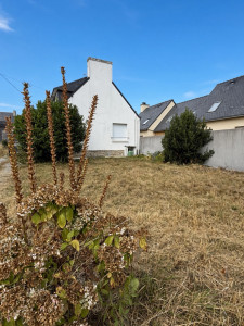 Photo de galerie - APRÈS Débroussaillage 