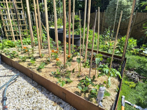 Photo de galerie - Entretien de potager 