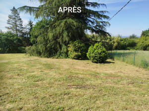 Photo de galerie - Tonte de pelouse - Débroussaillage