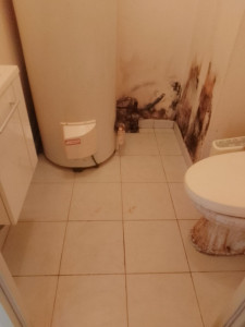 Photo de galerie - Voici les toilettes maintenant sauf que e toilette est toujours sale parce que sa va viré 