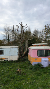 Photo de galerie - évacuation des déchets.